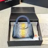 Small Smart Handbag Small Smart Handbag