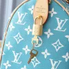 Women Mulit Color Pillow bag Women Mulit Color Pillow bag
